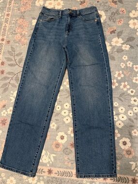 Gloria Vanderbilt Classic Straight Leg Jeans in Blue Denim